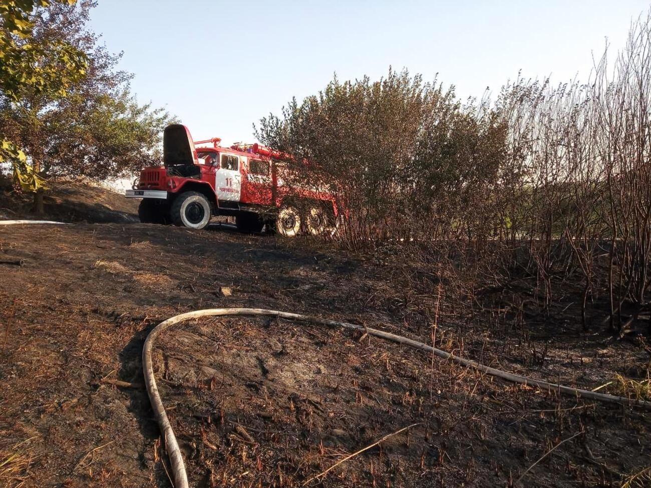 Пожежники борються з вогнем у Київській області