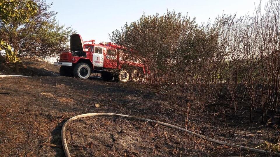 Пожежники борються з вогнем у Київській області