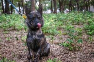 Джесси вернулась в Украину 29 июля