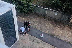 ДБР має намір клопотати в суді про усунення поліцейських від посад