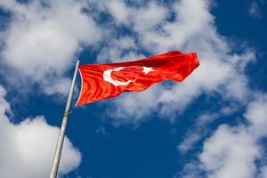 Розыск подозреваемых проходит в 49 регионах Турции и Северного Кипра