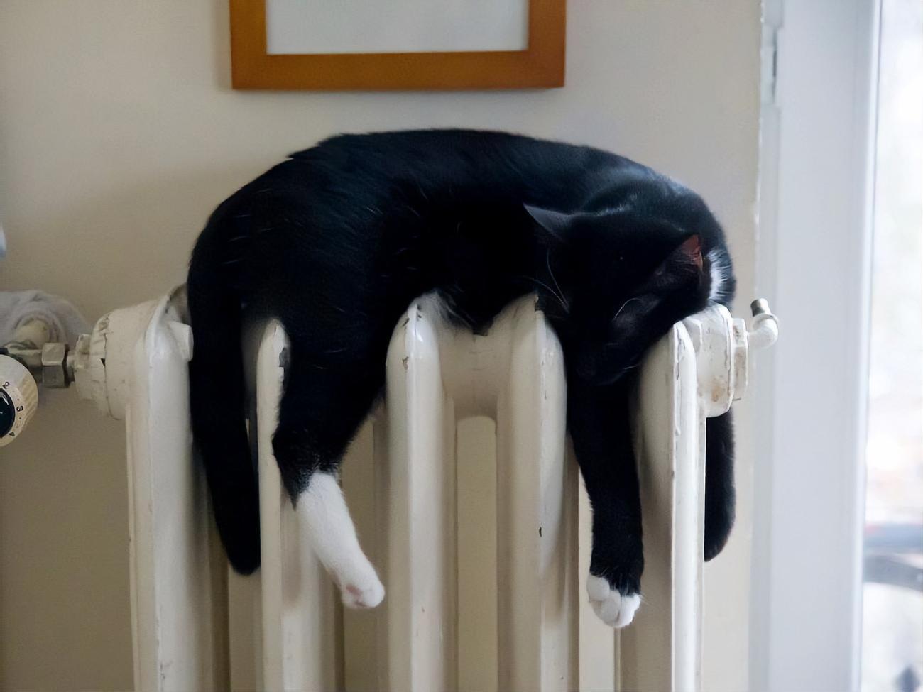 Маркарова заверила, что перебоев с выплатами субсидий не будет