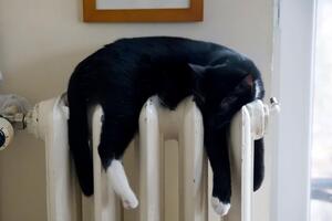 Маркарова заверила, что перебоев с выплатами субсидий не будет