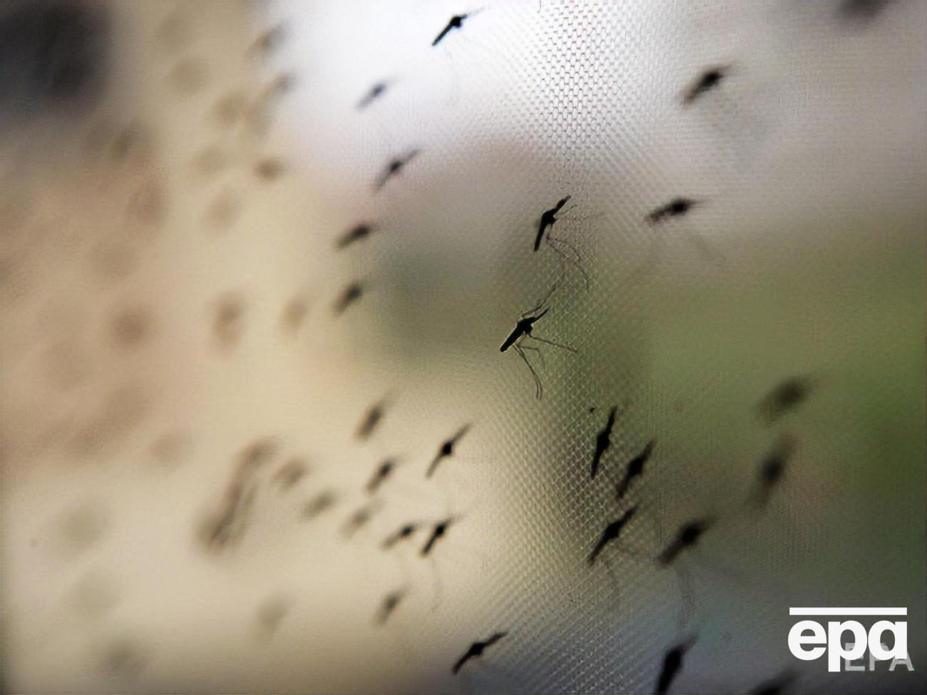 Малярия &ndash; инфекционное заболевание, которое вызывается паразитами, передающимися человеку при укусе инфицированными комарами