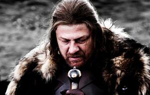 Бин играл Эддарда Старка в телесериале "Игра престолов"