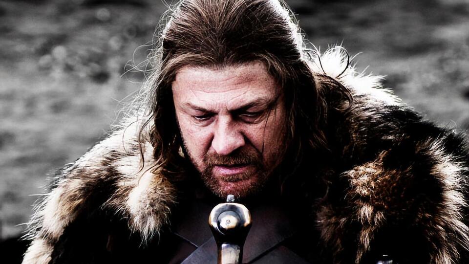 Бин играл Эддарда Старка в телесериале "Игра престолов"