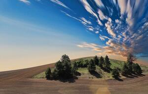 Земледелие в Украине стало обслугой компаний, считают авторы обращения