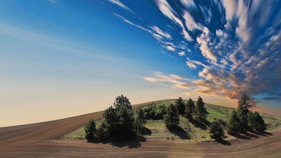 Земледелие в Украине стало обслугой компаний, считают авторы обращения