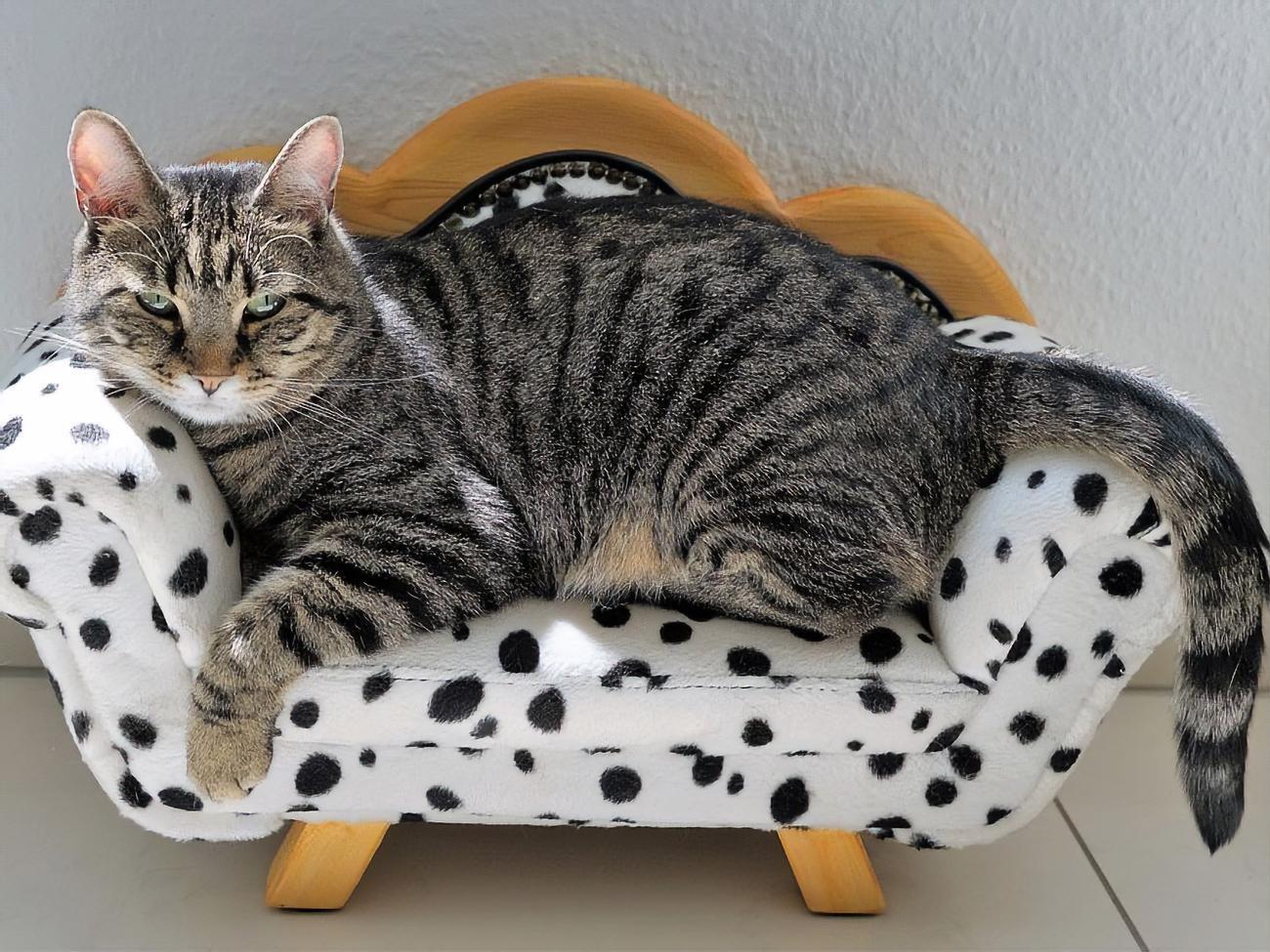 Зона комфорту може стати зоною абсолютного дискомфорту