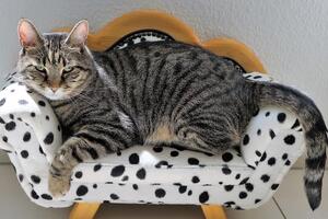 Зона комфорту може стати зоною абсолютного дискомфорту