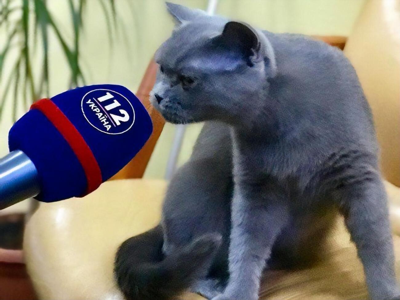 На телеканале заявили, что они "неудобны для власти"