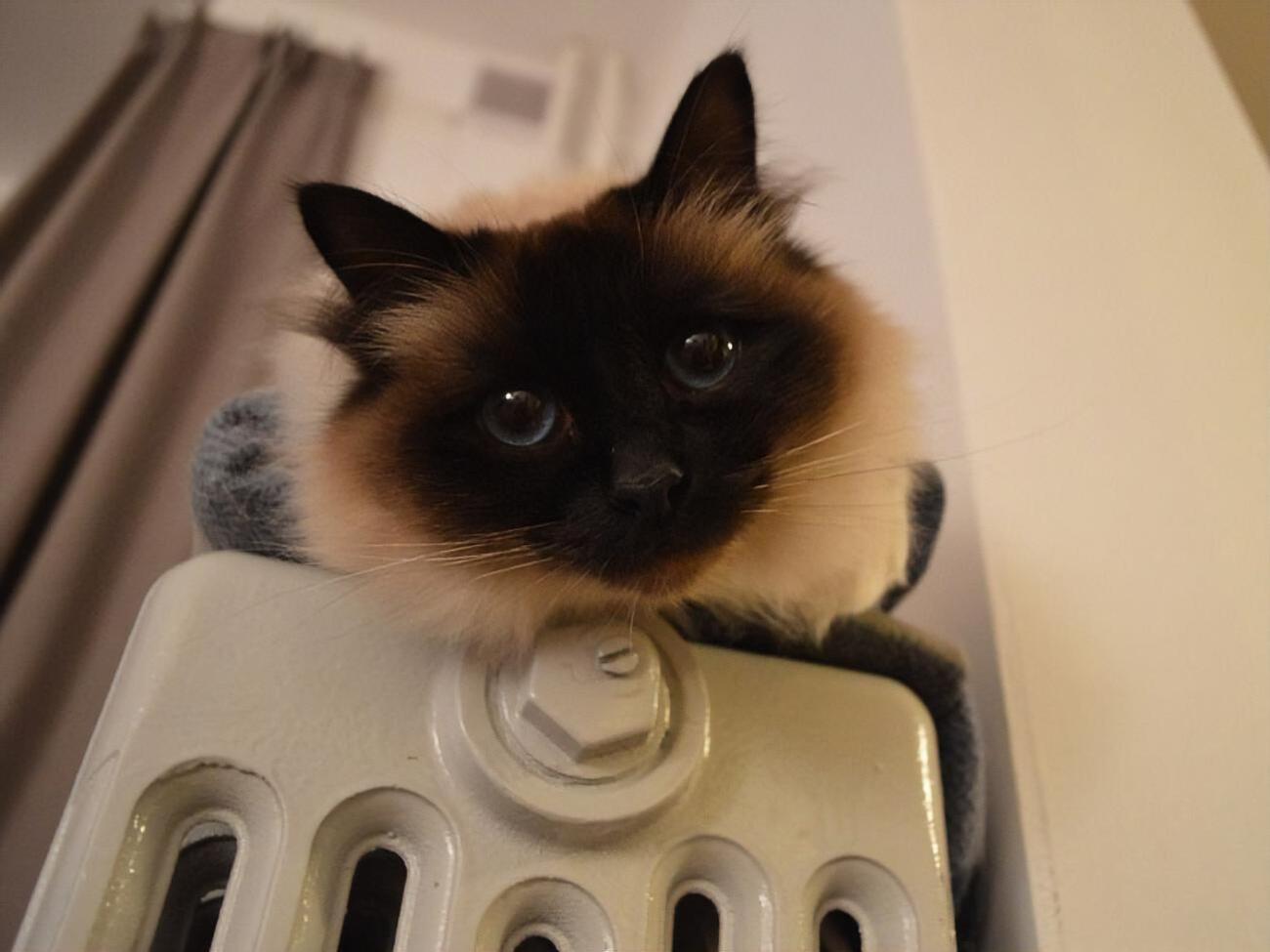 У понад 20 областях можуть виникнути проблеми з опалювальним сезоном