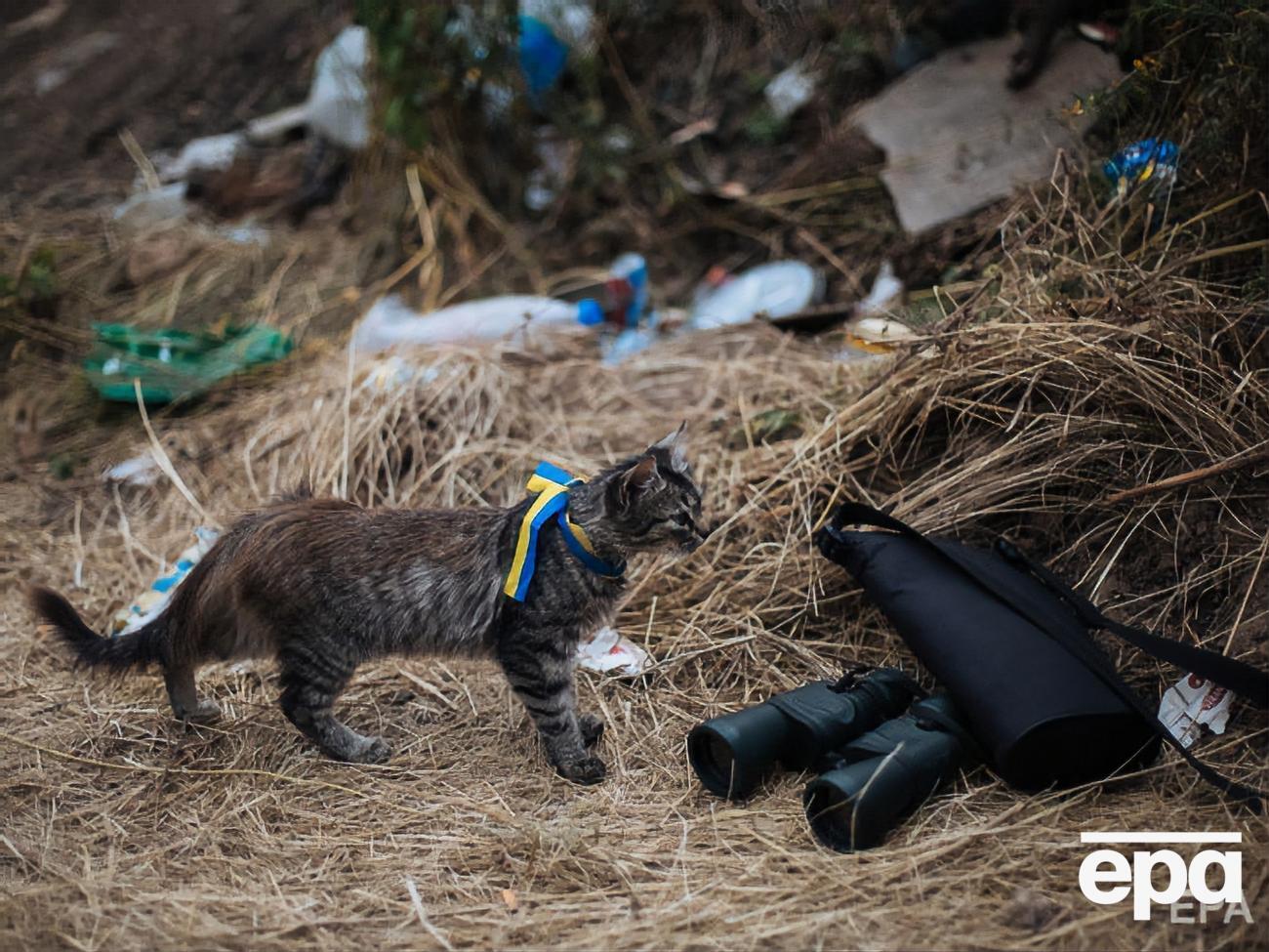 В 2014 году, сразу после аннексии Крыма, на востоке Украины Россия начала вооруженную агрессию