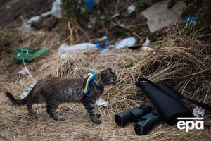 В 2014 году, сразу после аннексии Крыма, на востоке Украины Россия начала вооруженную агрессию