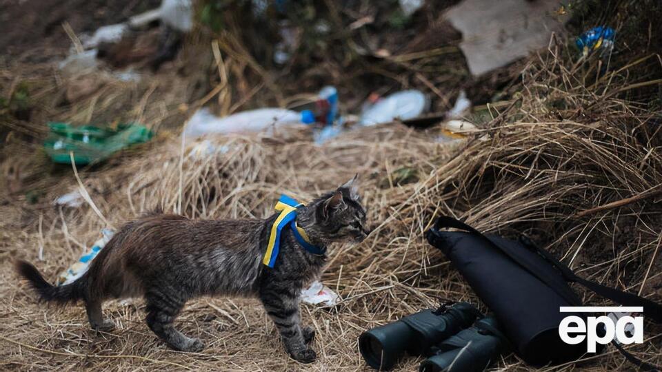 В 2014 году, сразу после аннексии Крыма, на востоке Украины Россия начала вооруженную агрессию