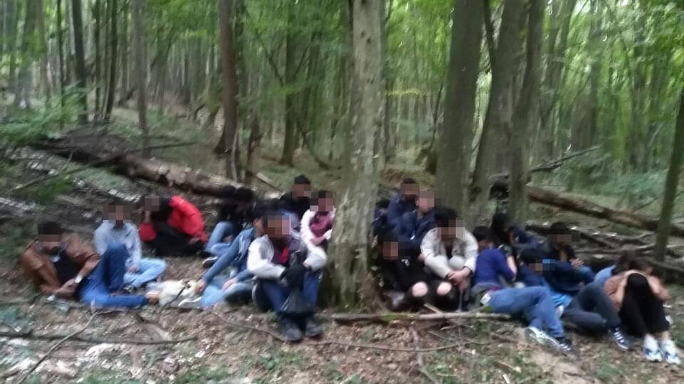 Групу нелегалів прикордонники затримали вранці 3 вересня