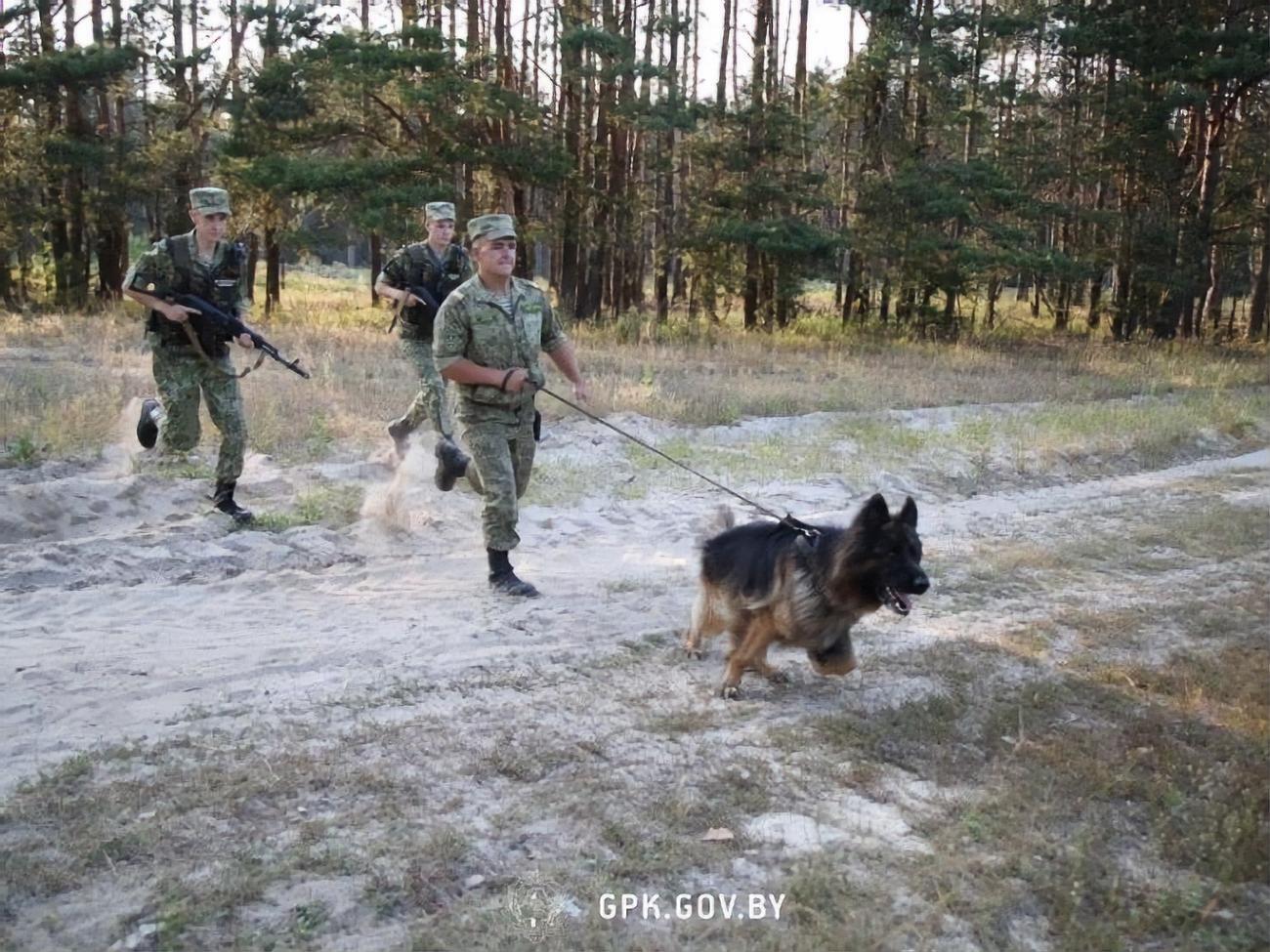 У прикордонній службі Білорусі відзвітували, що доручення поставити "глухий заслін" виконано