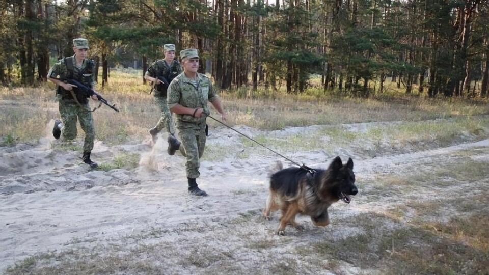 У прикордонній службі Білорусі відзвітували, що доручення поставити "глухий заслін" виконано