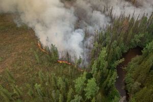 У Сибіру горіли ліси