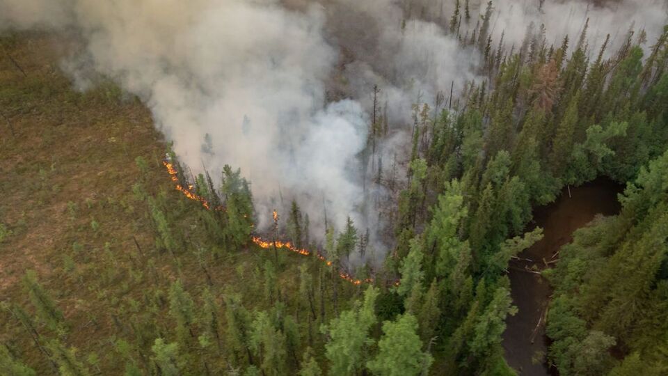 У Сибіру горіли ліси