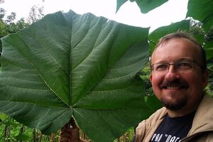 Зеленський сідає на "вилку". Видати Цемаха – означає, порушити Конституцію. Не видати – зірвати обмін