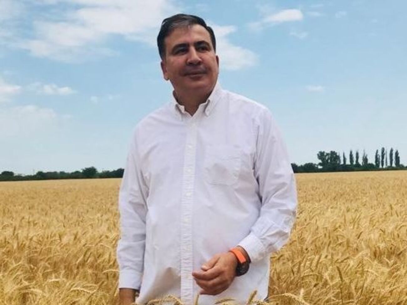 Если отменить идиотские регуляции и снизить налоги, Одесская область может засиять на мировом рынке вина уже через несколько десятилетий