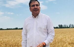 Если отменить идиотские регуляции и снизить налоги, Одесская область может засиять на мировом рынке вина уже через несколько десятилетий