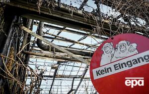 Из-за пожара погибло около 30 обезьян