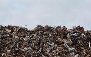 За даними Держекоінспекції, на звалищі в Дрогобичі перевищено вміст забруднювальних речовин