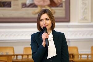 Новосад: Медиаграмотность можно преподавать на различных предметах