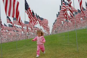США хочет ужесточить получение виз иностранками, желающими родить ребенка в Америке