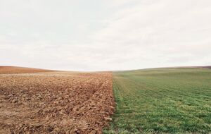 Общая площадь сельскохозяйственных земель в Украине составляет 42,7 млн га