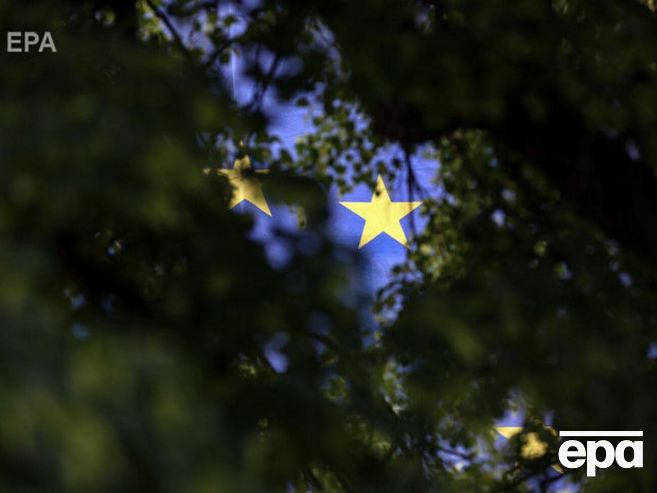 В Винницкой области были зарегистрированы&nbsp;случаи птичьего гриппа, ЕС приостановил импорт мяса птицы