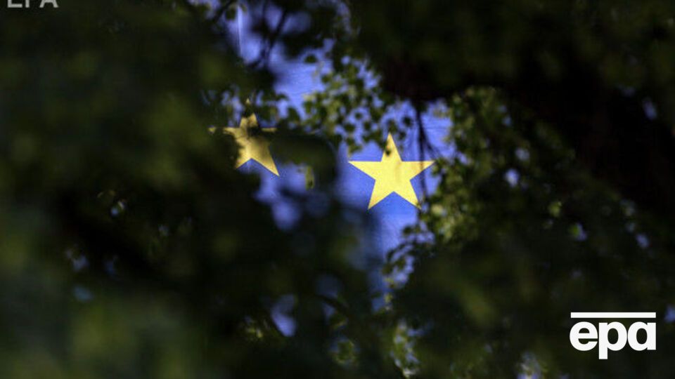 В Винницкой области были зарегистрированы случаи птичьего гриппа, ЕС приостановил импорт мяса птицы