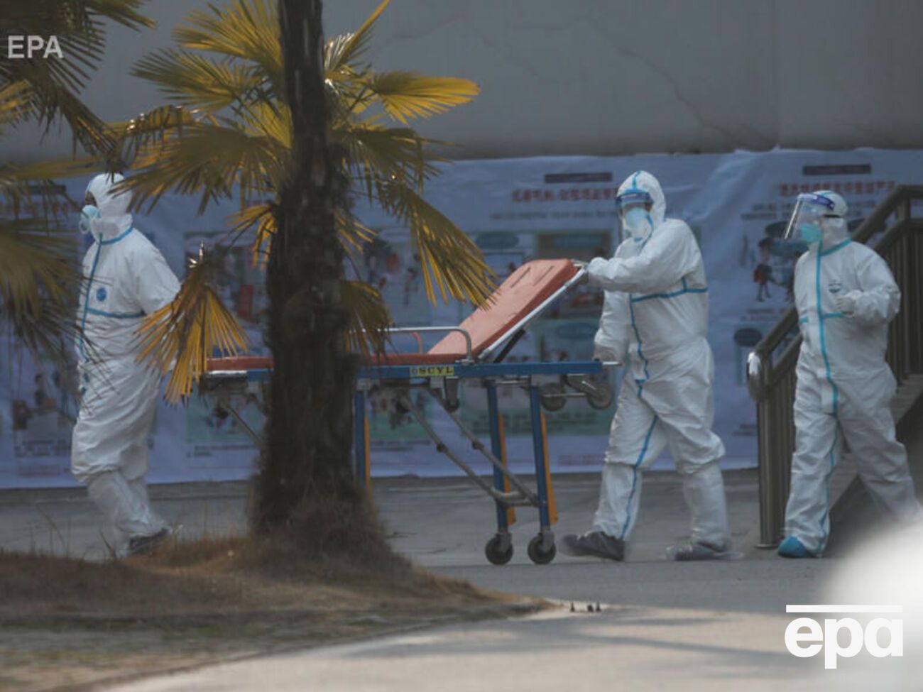 Уперше новий тип вірусу підтвердили 31 грудня 2019 року