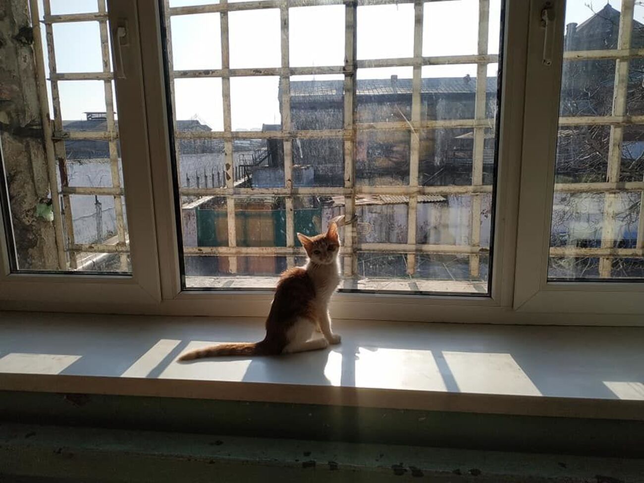 Малюська утверждает, что пришел в СИЗО Одессы без предупреждения