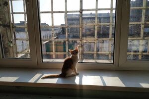 Малюська утверждает, что пришел в СИЗО Одессы без предупреждения