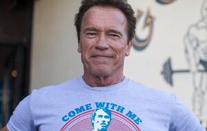 Шварценеггер соединил в коллаж в рамках челленджа четыре образа