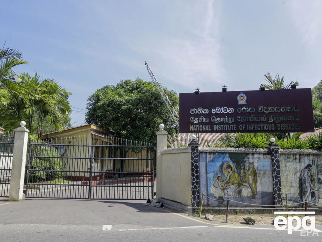 Инфекционисты Шри-Ланки выявили первый случай китайского вируса