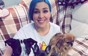 Maruv обокрали в центре Киева 11 января