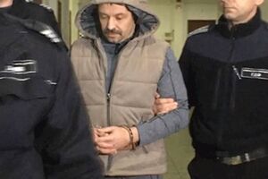 Левина арестовали на 40 дней