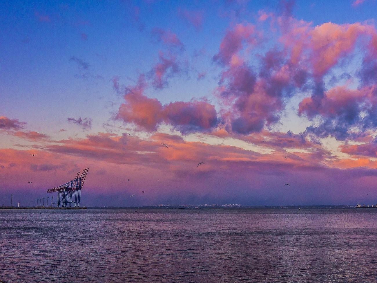 Дві українські морські екоінспекції ліквідували через неефективність