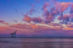 Дві українські морські екоінспекції ліквідували через неефективність