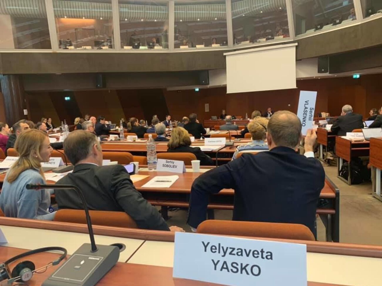 Делегация Украины возражала против принятия резолюции