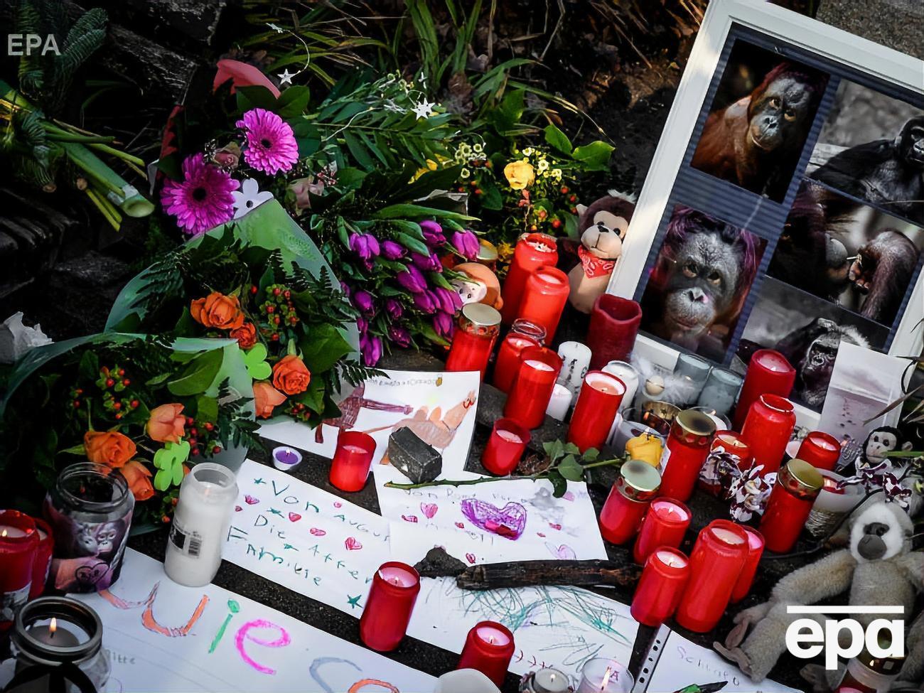 В результате пожара погибли около 30 животных