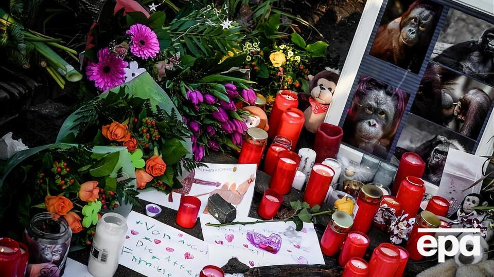 В результате пожара погибли около 30 животных