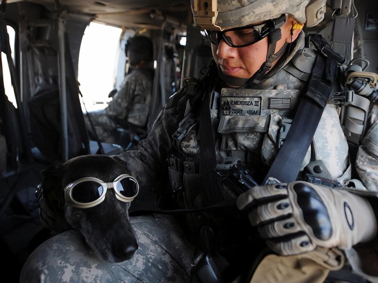 Американских военных отправят в Ирак