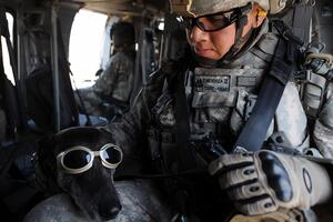 Американских военных отправят в Ирак