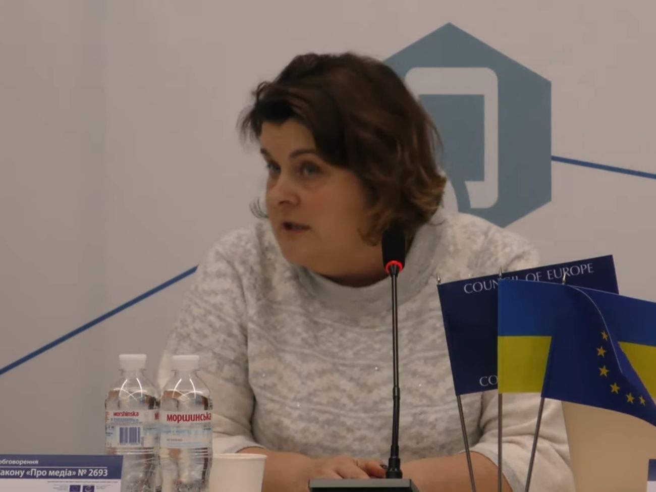 Литвиненко: Для всей международной общности чрезвычайно важно, чтобы между первым и вторым чтениями законопроекта было достаточно времени