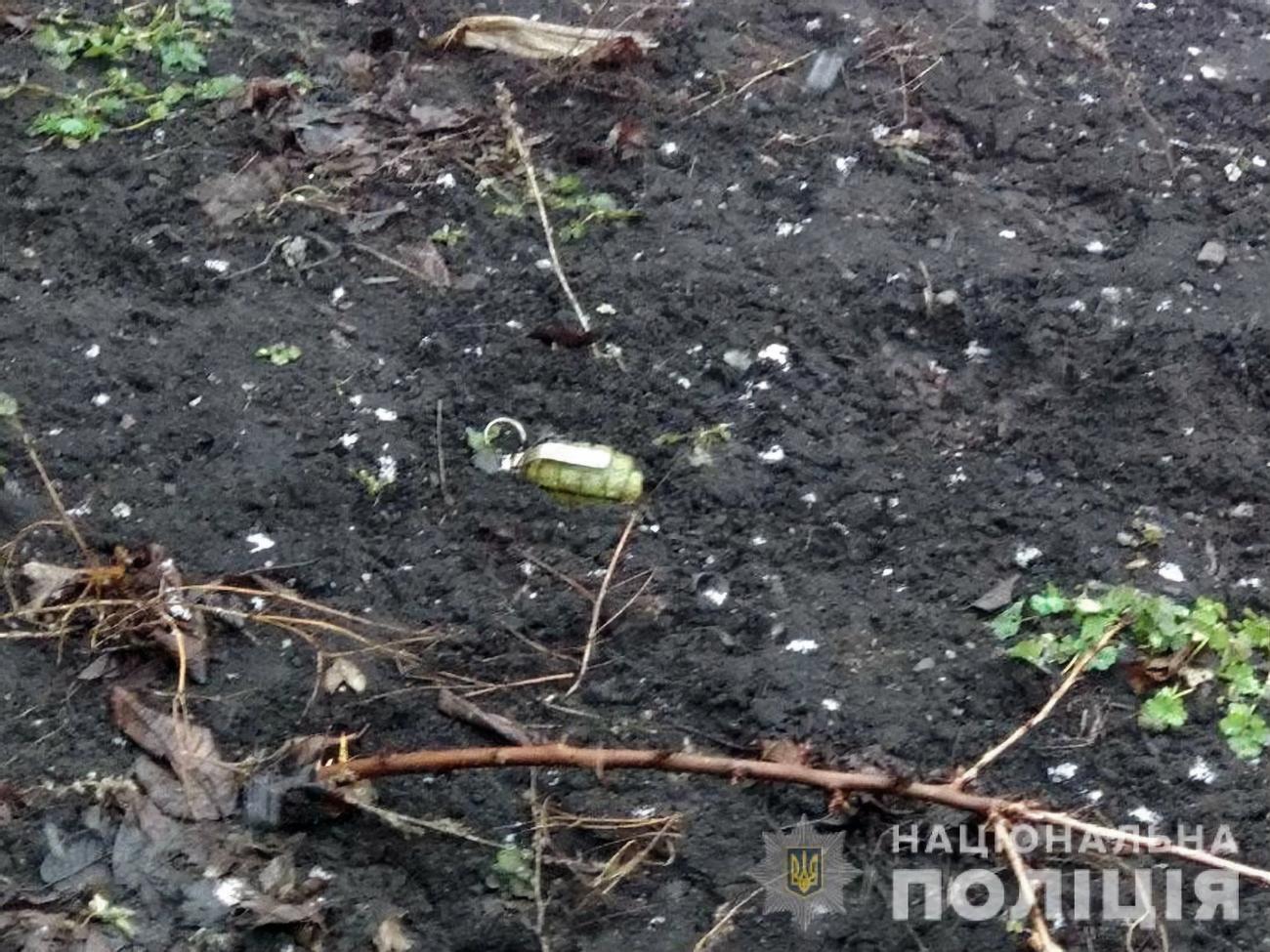 Полицейские обнаружили в огороде остатки от гранаты Ф-1 и еще одну гранату, которая не взорвалась